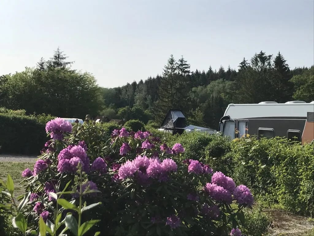 Wohnmobil- und Campingpark Ambergau gallery 1