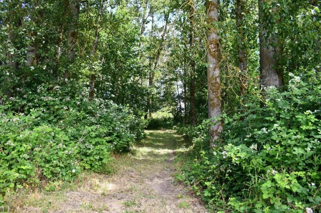 Sand Island Marine Park Campground gallery 2