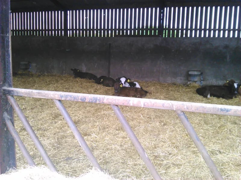 Gretton Caravan Site gallery 1