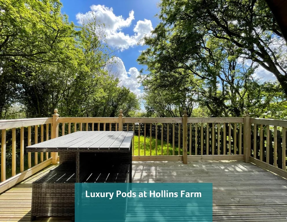 Hollins Farm Camp Site gallery 1