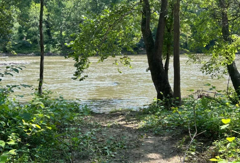 Hot Springs Campground gallery 1