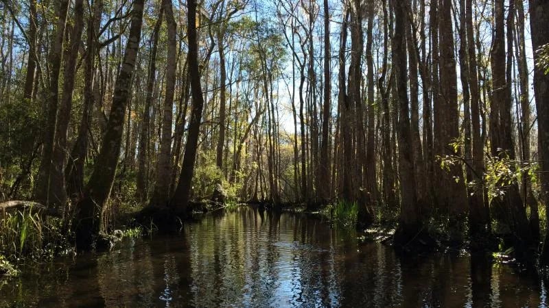 Topsail Hill Preserve State Park gallery 2