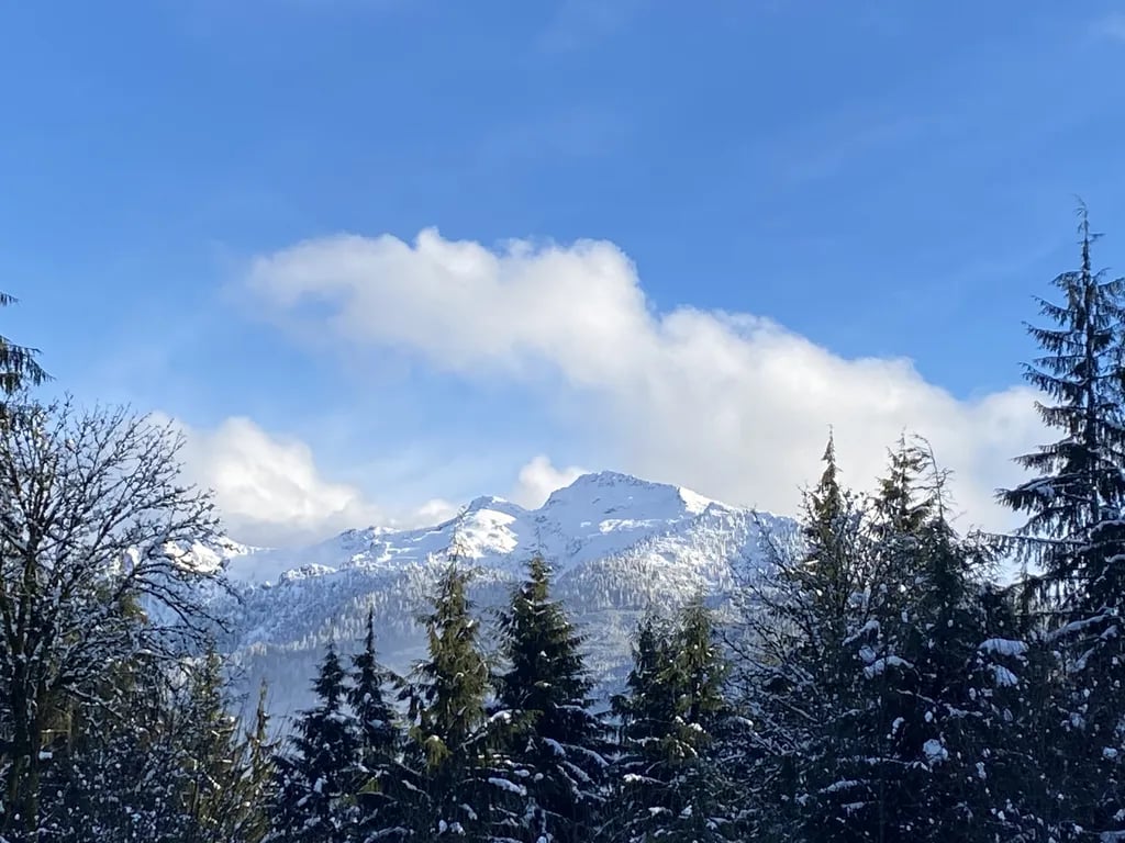 Paca Pride Guest Ranch gallery 1