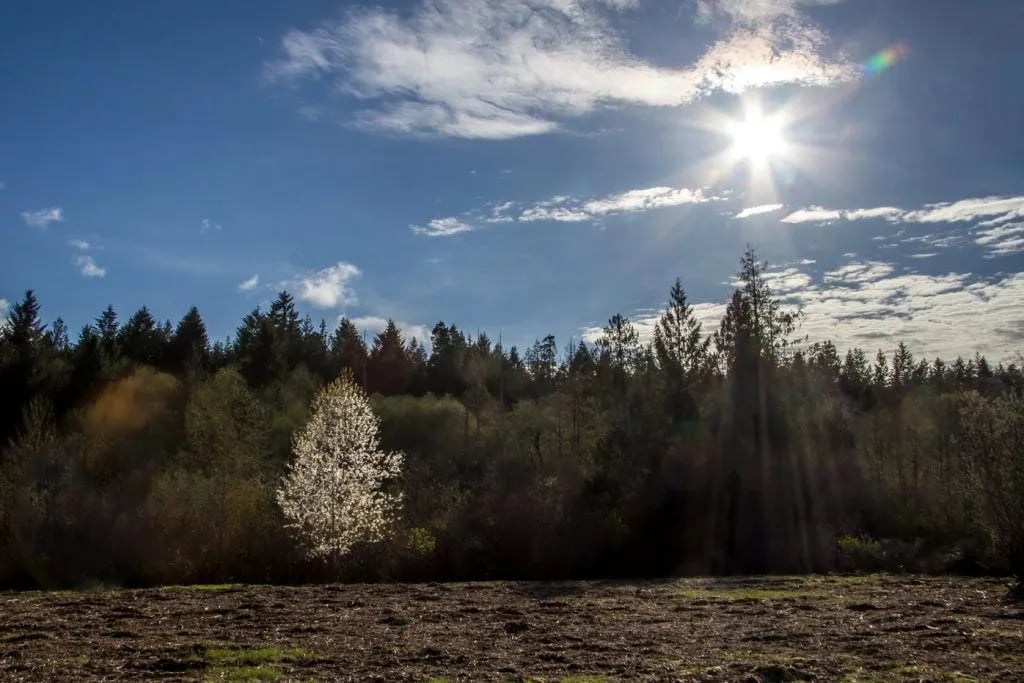 Seven Feathers RV Resort gallery 1