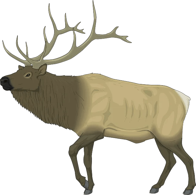 Blue Mountain RV Park gallery 3