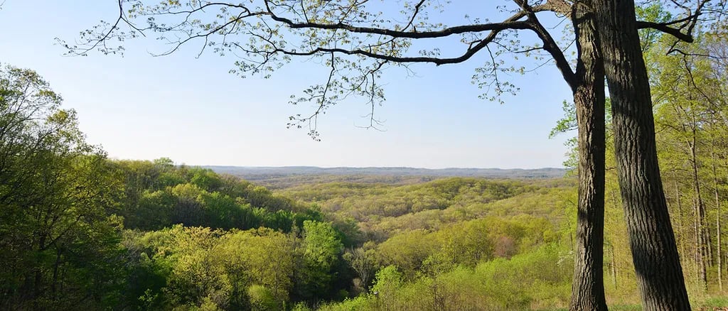 Rally Group Campground — Brown County State Park