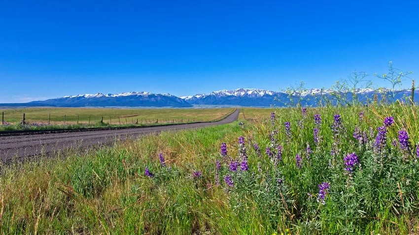 Scenic Meadows RV Park gallery 1