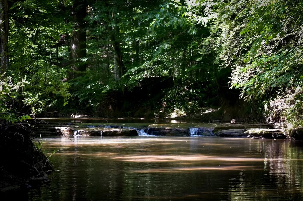 Windrock Gap Campground & RV Park gallery 2