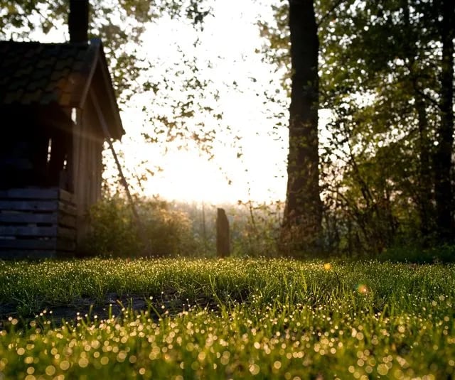 Camping Hessenoord gallery 3