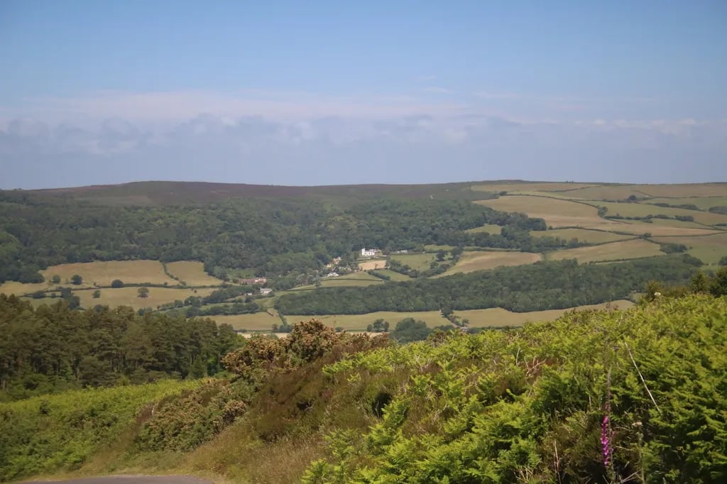 Willow Stream Camping gallery 1