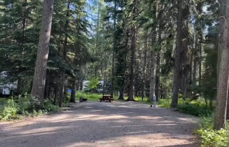 Mountain Shadows Campground gallery 1