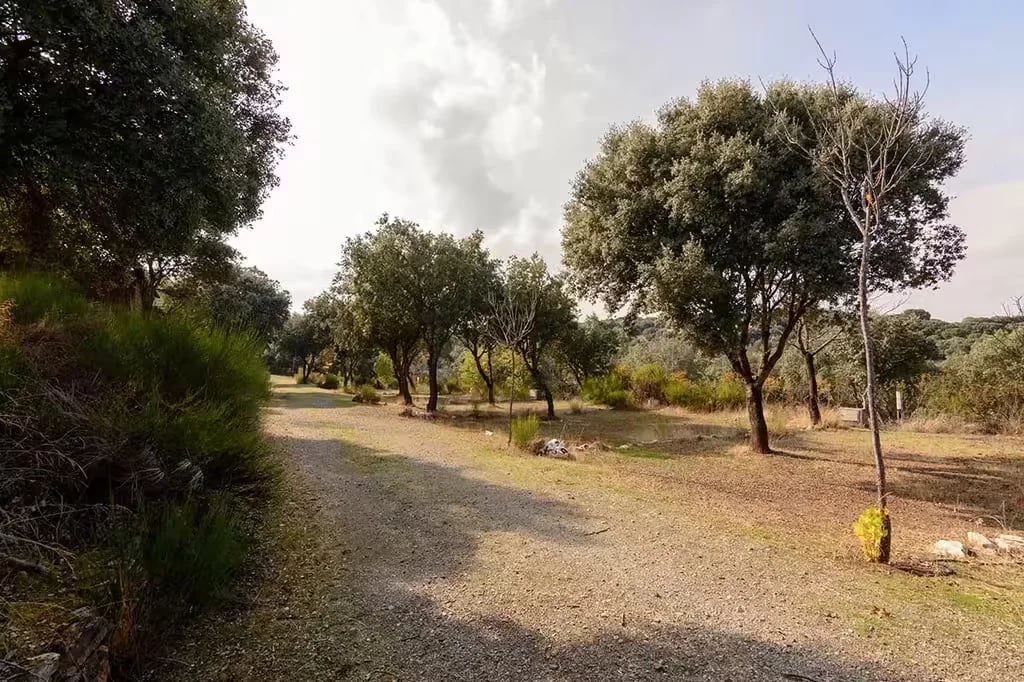 Camping el Guijo gallery 3