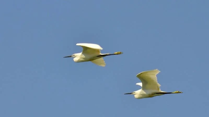 Hayema Heerd gallery 3