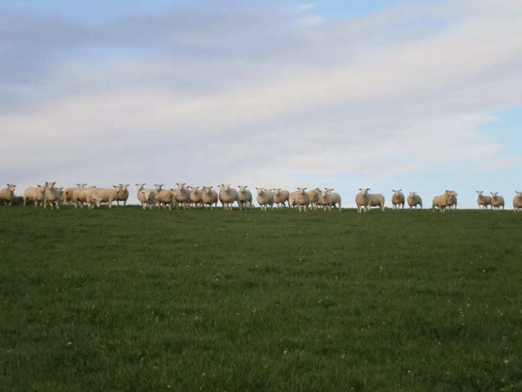 Incledon Escapes at Incledon Farm gallery 1