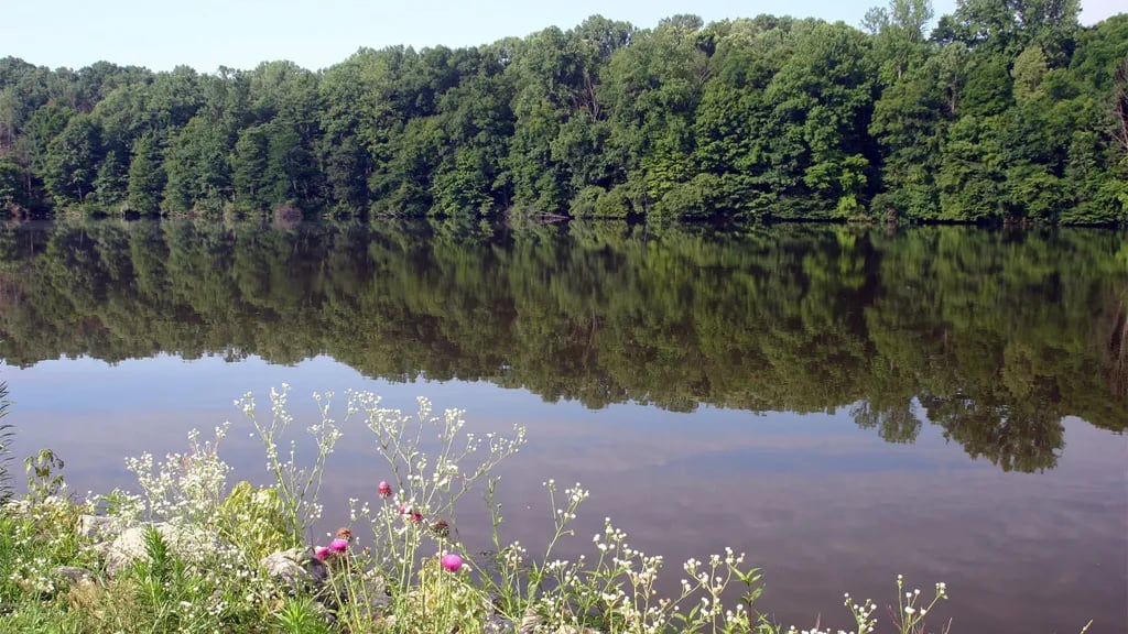 Hamilton County Miami Whitewater Forest Campground
