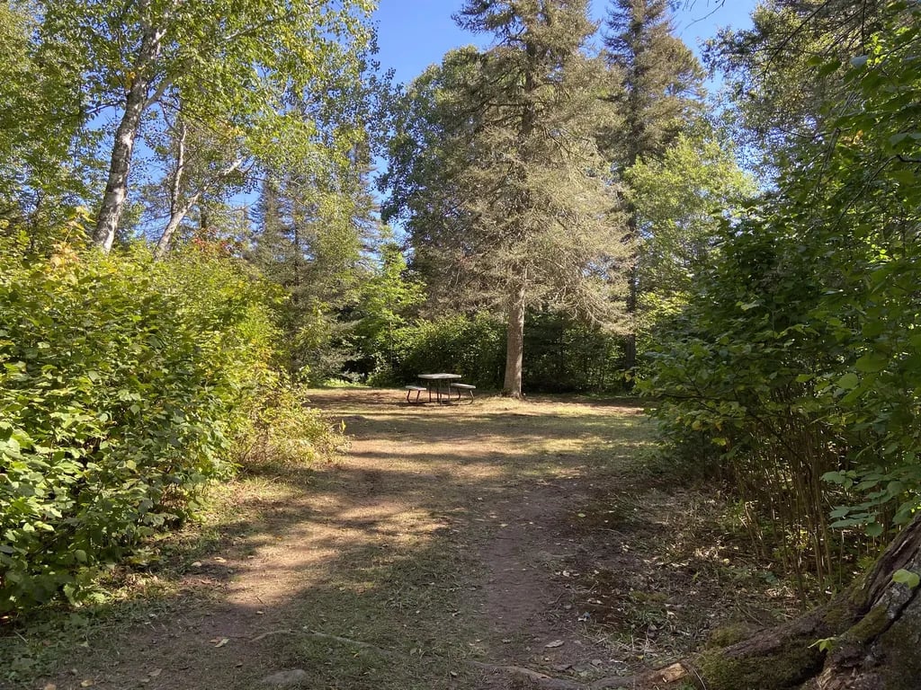 Wildhurst Lodge and Campground gallery 2