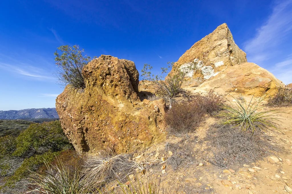 Musch Trail Camp — Topanga State Park gallery 2