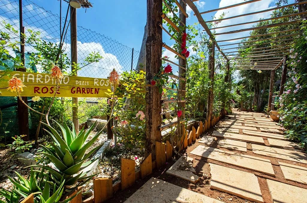 Campeggio El Bahira gallery 2