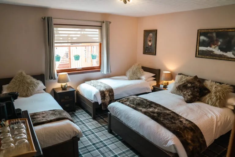 Aviemore Glamping gallery 2