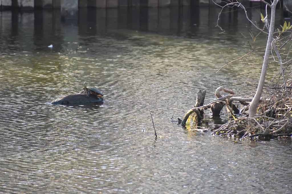 Lakewood Camping Resort gallery 2