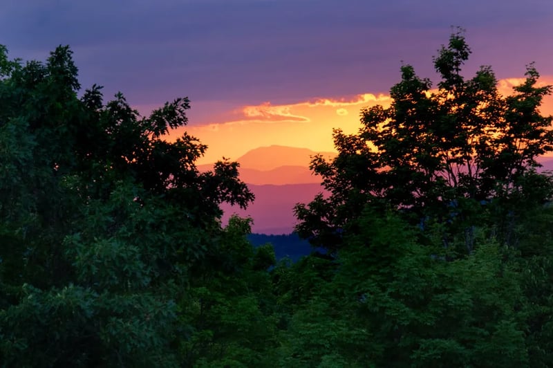Slateville Secluded Campsites gallery 2