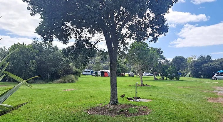Schischka Campground gallery 3