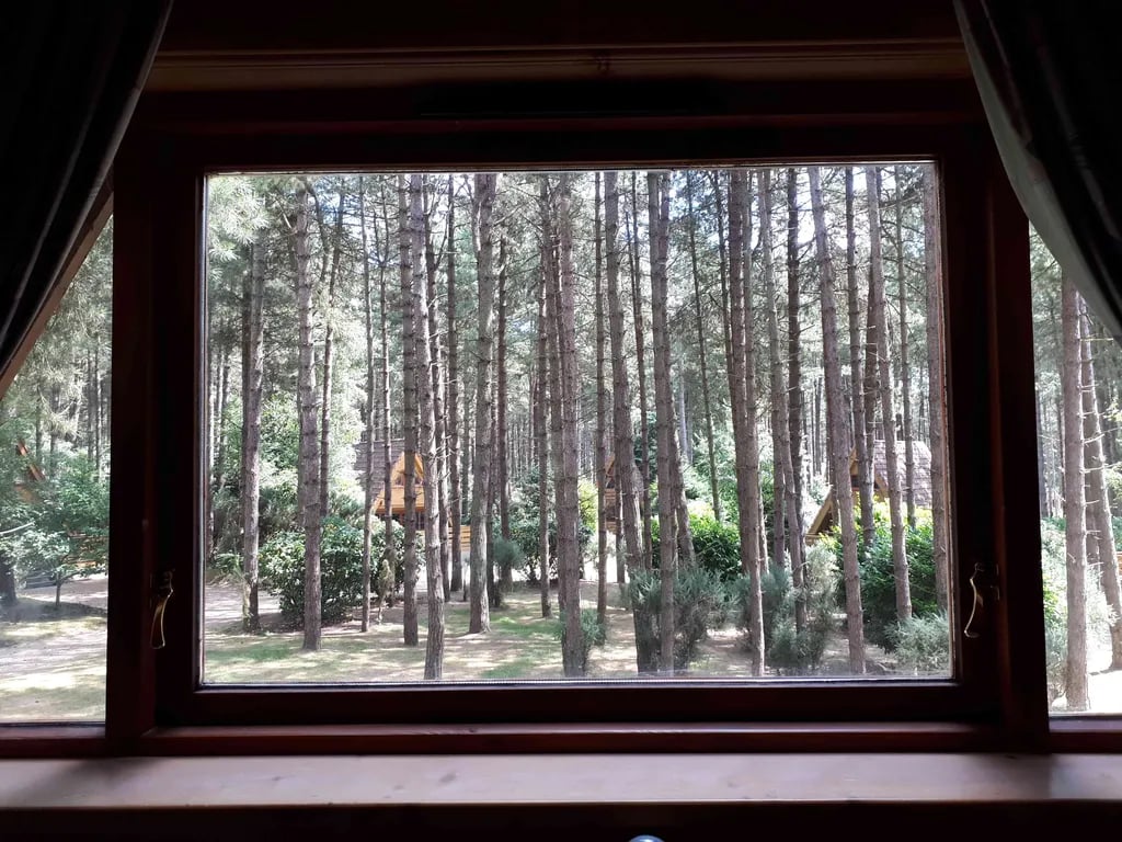 Weybourne Forest Lodges gallery 2