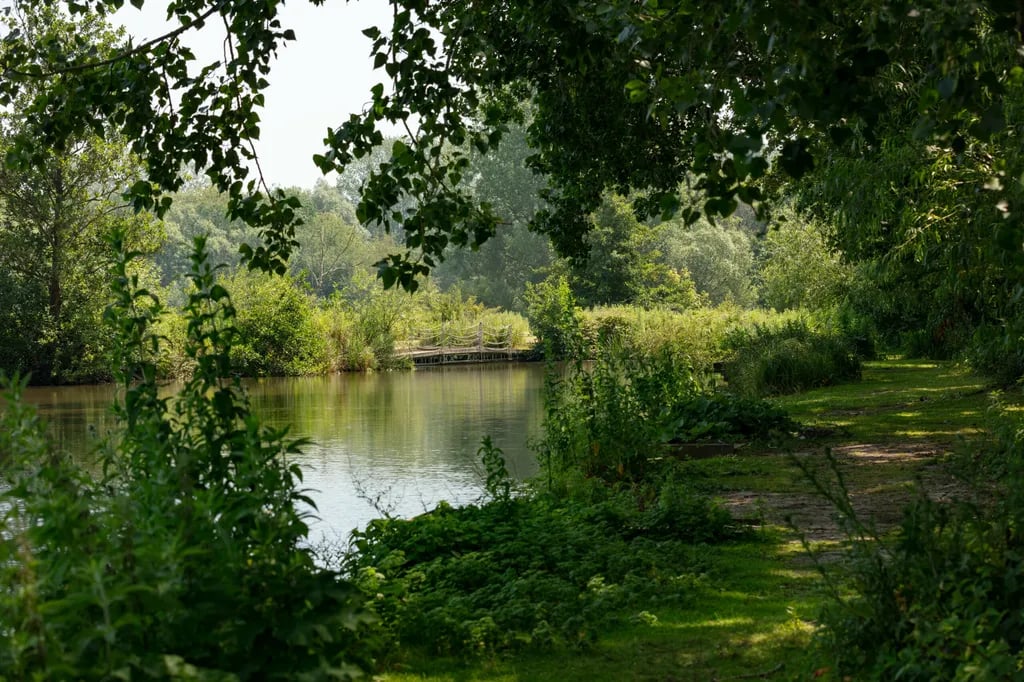 Cottington Lakes