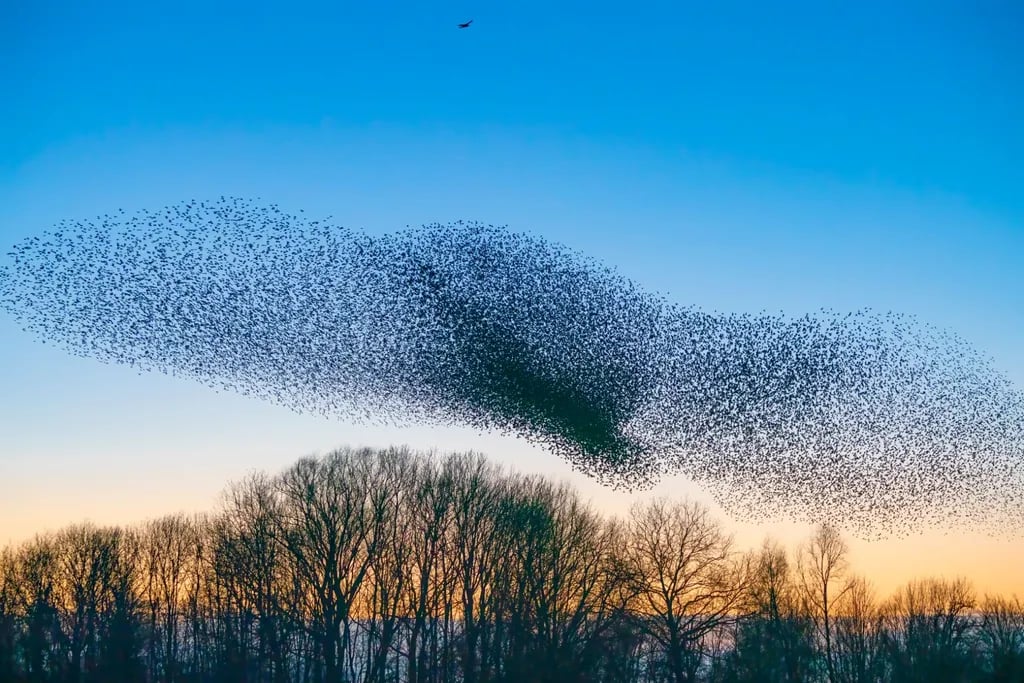 Somerset Shepherd’s Hut Holidays gallery 1