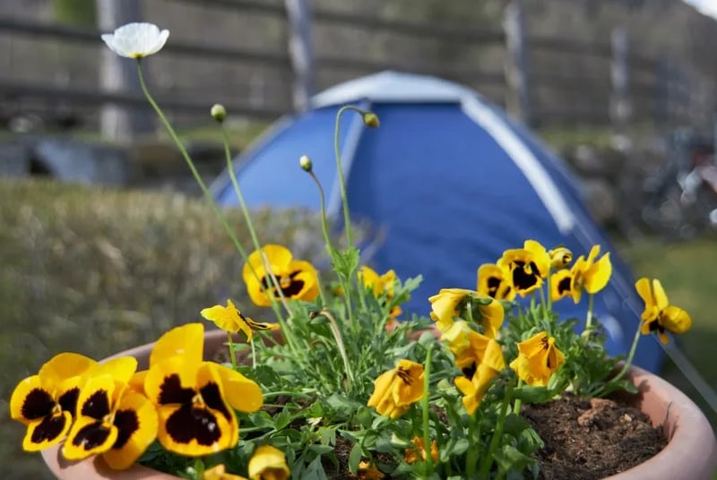 Camping im Park – Glurns gallery 3