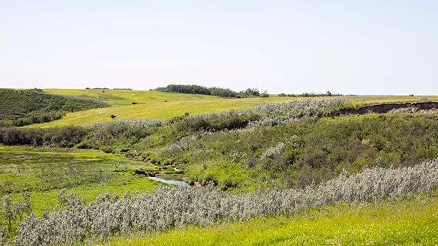 Tekarra Backcountry Campground (Skyline Trail Hike) gallery 2