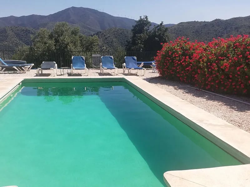 Olive Branch El Chorro