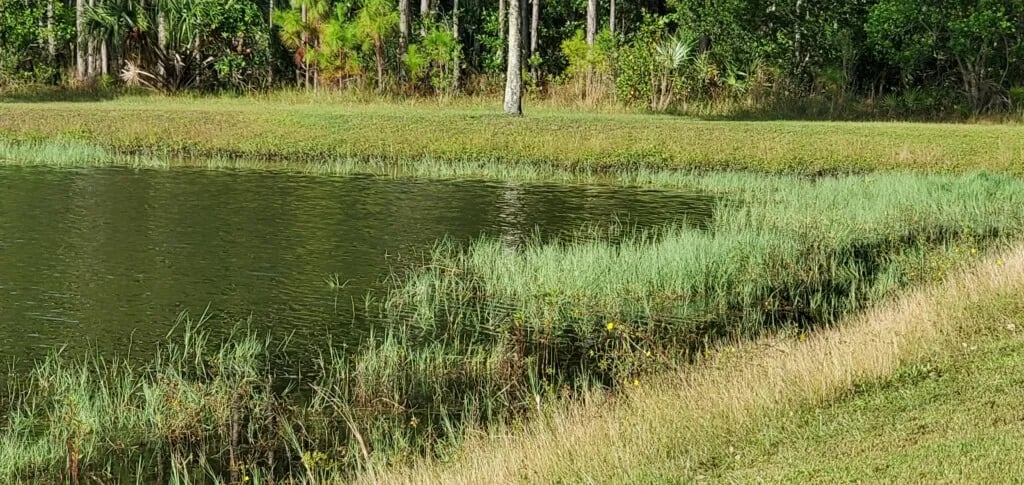 International RV Park & Campground gallery 1