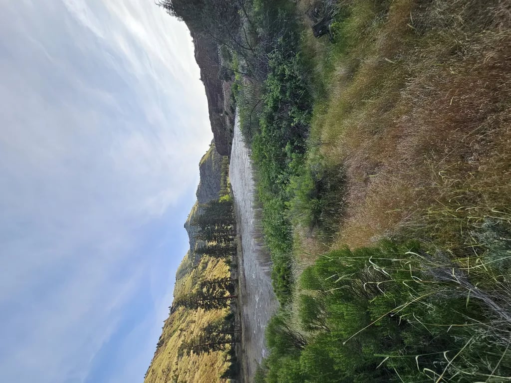 Muleshoe Campground gallery 1