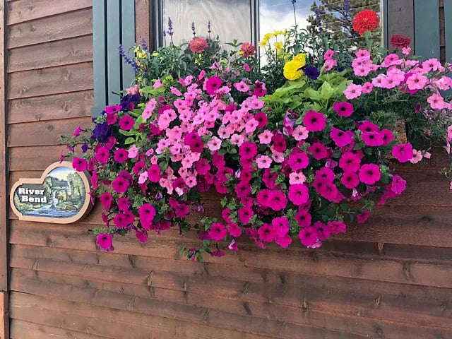 Paradise on the River gallery 1