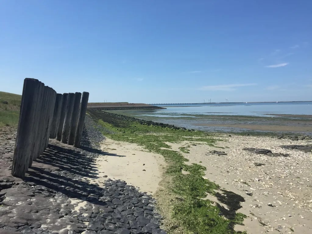 Mini-camping Klaverwijk