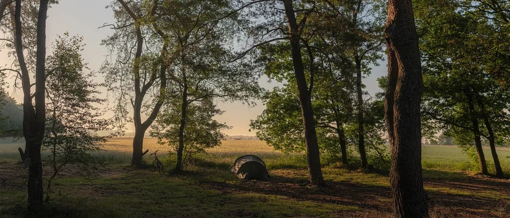 Natuurcampeerterrein Landgoed quadenoord gallery 2