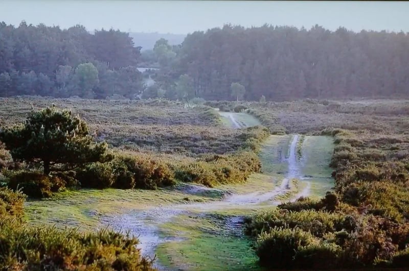 Webbers Caravan & Camping Park gallery 1