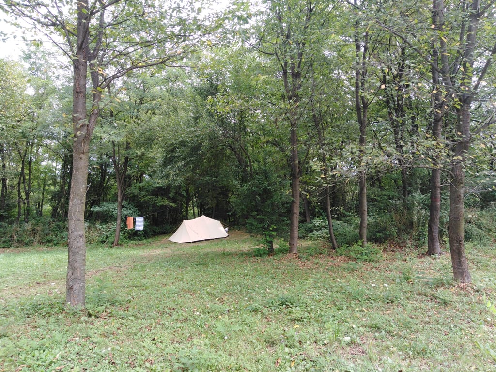 Bogata Šuma (“Rich Forest”) gallery 3