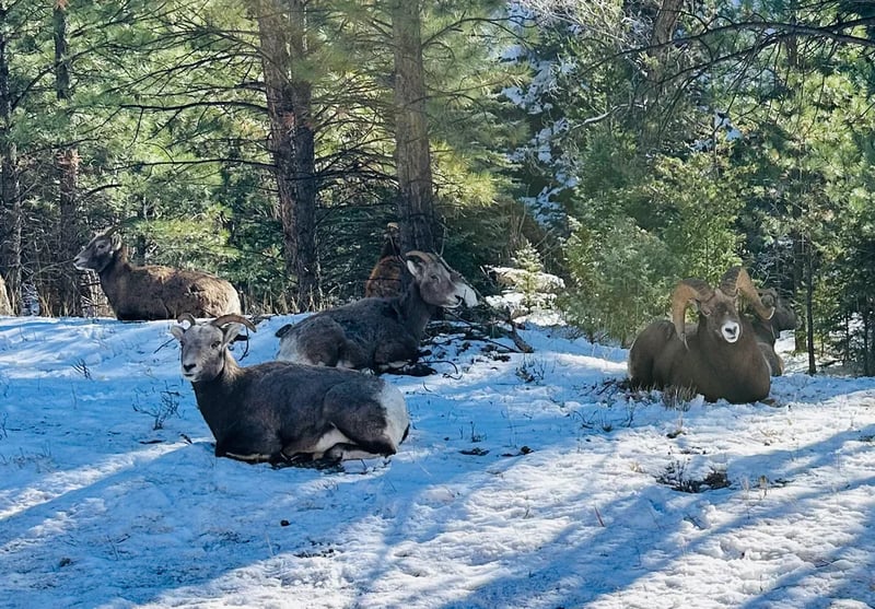4K River Ranch gallery 3