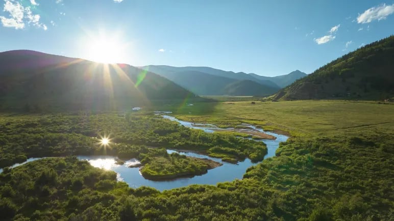 Collective Governors Island gallery 3