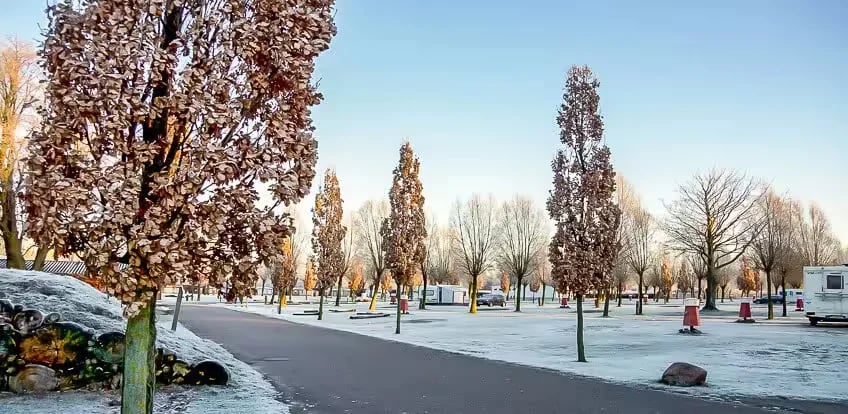 Wellness-Camp Düne 6 gallery 3