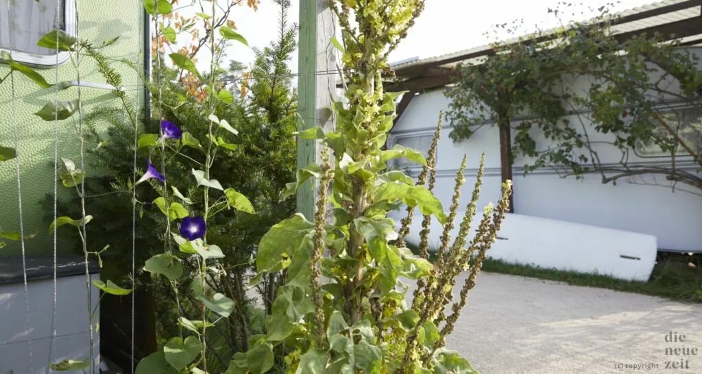 Gelände “Die neue Zeit” gallery 2