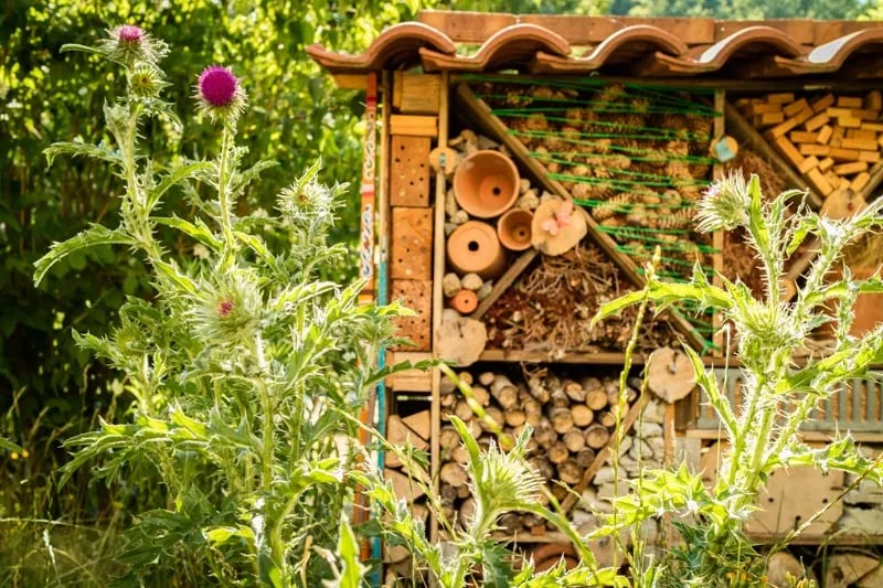 Camping du Pont De Braye gallery 3