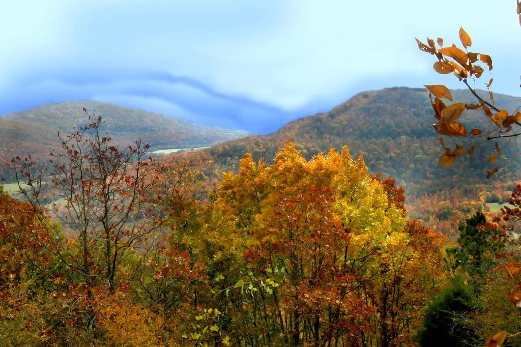 Gaston’s White River Resort Cabins gallery 1