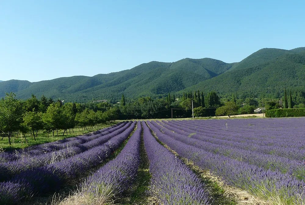 Camping Municipal Lorette