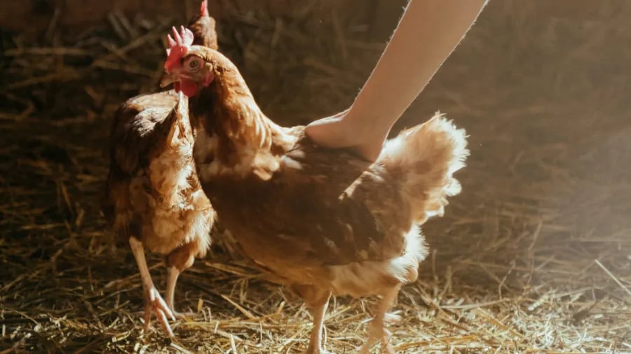 Quiet Valley gallery 1