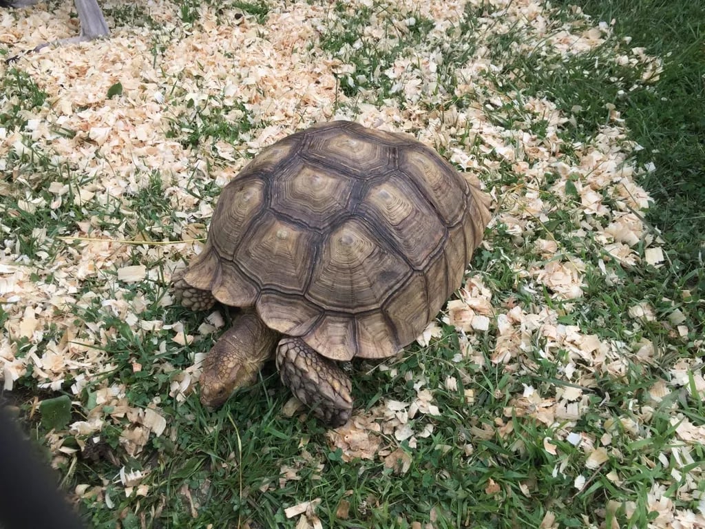 Hocking Hills Jellystone Campground