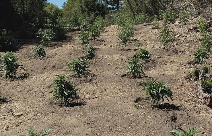 Sonoma Coast State Park gallery 3