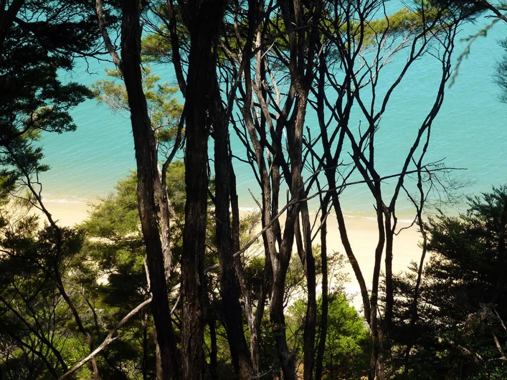 Bethany Park, Holiday Park and Camp gallery 1